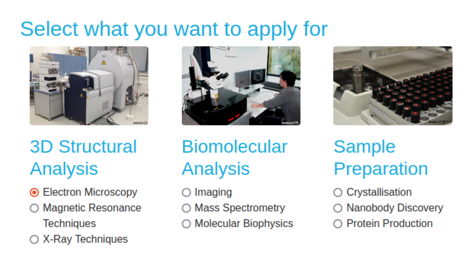 3D Structural analysis/Electron microscopy section